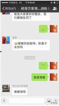 qq群免费吃网红瓜,网红瓜子等你来尝