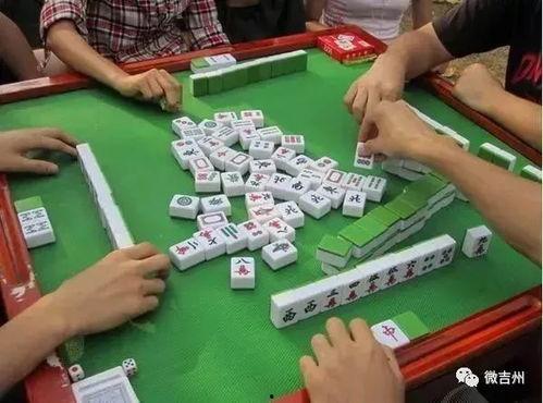 打扑克不盖被子51吃瓜网,不盖被子51，揭秘51吃瓜网的神秘面纱