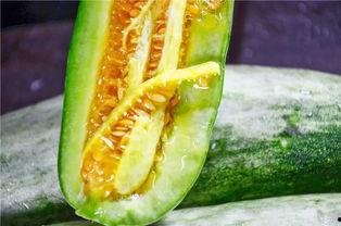 哪些网红有瓜吃,哪些热门网红有瓜吃