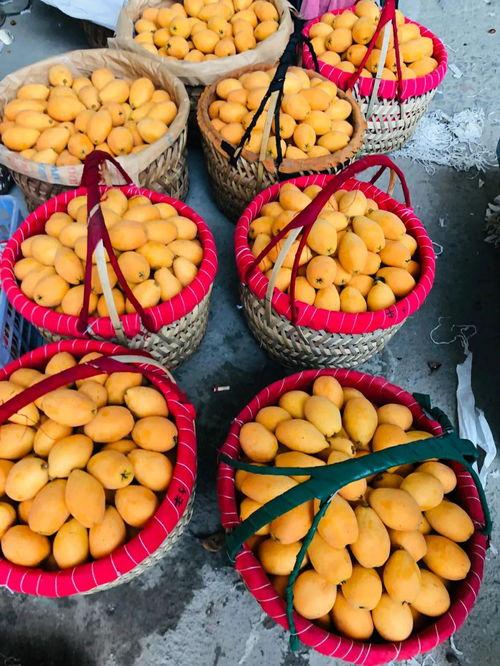 600万粉丝抖音网红吃瓜,揭秘娱乐圈幕后真相